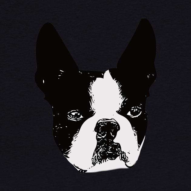 Boston Bull Terrier Face by DoggyStyles